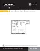 Download PDF: Ashley